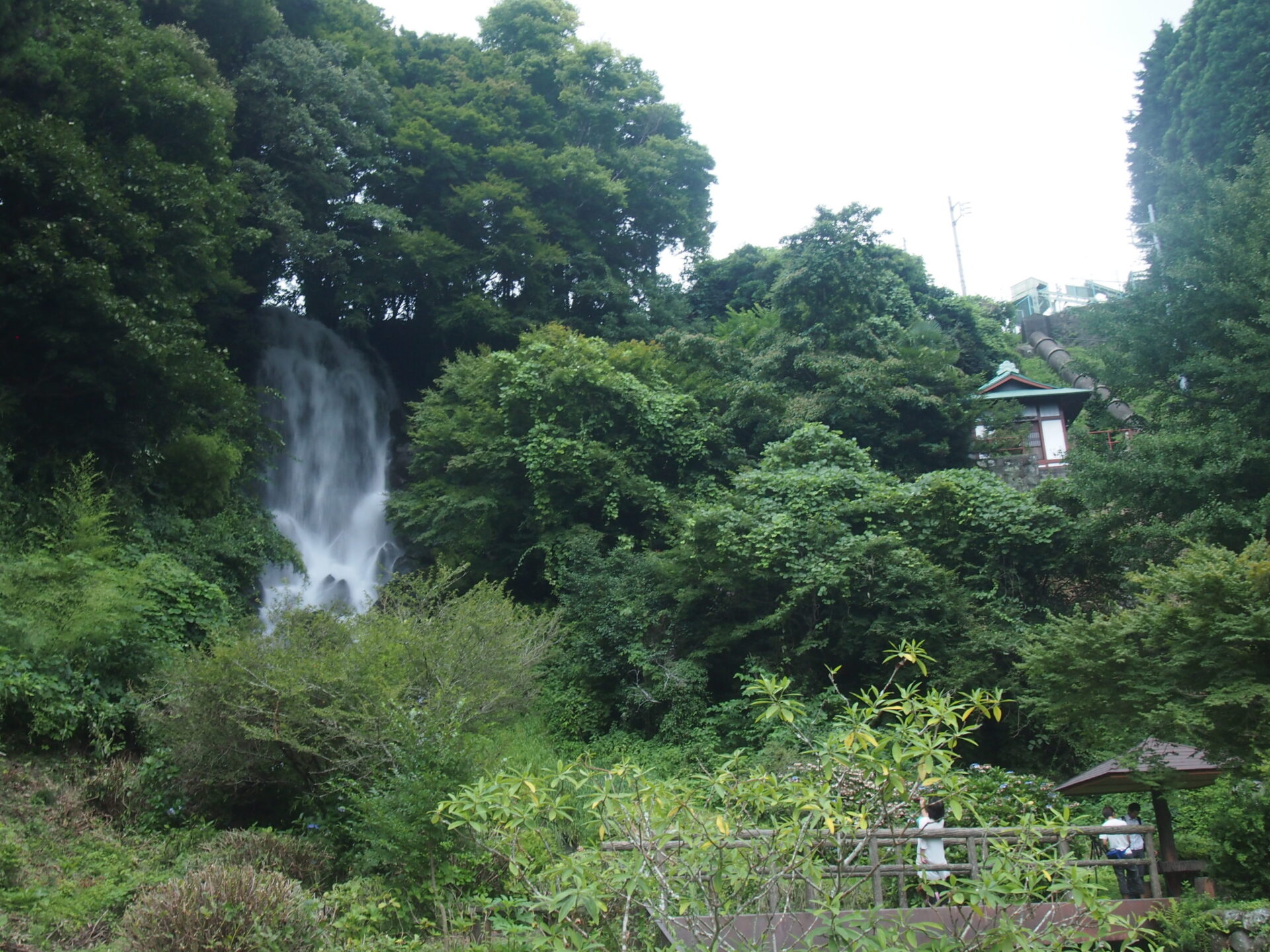 【くまいずみ】〜１０月分お取り置き〜 もしもクマと遭遇したら？ 住宅街近くでクマ目撃 2024年の過去最多を