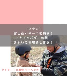 【コラム】富士山バギーに初挑戦！ドキドキバギー体験＆まかいの牧場癒し体験！

先日、パパ（38歳）・私（40歳）・息子（年少3歳）の3人で、富士山バギーに挑戦してきました！

この初挑戦は、パパが「絶対やりたい！」と勝手に予約したもので、私は正直「バギーなんて怖いし無理ぃ…40歳にもなって怖い思いしたくないよ〜」と、かなり消極的な気持ちの中、泣く泣く連れて行かれた感じでしたが、実際に体験してみたら…
想像以上に最高の時間となりました！！

初めてでも安心！
丁寧なガイド説明と練習タイム
　
到着するとすぐにガイドのお兄さんがお出迎え。
その後の手順などをとても丁寧に説明してくれました。

操作方法や注意点、コースの特徴などをしっかり教えてくれるので、初めての私でもすぐ不安ゼロに。

さらに、コースに出る前に練習タイムがあるのも嬉しいポイント。

「バギーは倒れそうに思えても99.8%の確率で倒れません！安心して運転してください！」

というガイドさんの言葉に、少し緊張していた気持ちもほぐれ楽しむ準備はバッチリです。

▶︎いざコースへ！爽快感とスリルの両立

ガイドさんの後ろをついてコースに出て進みます。

自宅を出発する前に、SNSでバギー走行中の写真や動画などをチェックしていたため、初めは「本当に私が運転できるのかな？大丈夫かな…」と不安でしたが、ガイドさんが常に様子を見て声かけやアドバイスをしてくれるので安心でした。

コースはじゃり道あり、アップダウンあり、スローペース、ハイペースありで風を切って走る感覚はまさに爽快！
コースの途中で休憩もあり、写真も撮っていただけました。

倒れそうなスリルもありヒヤヒヤしますが、本当に倒れないので安心して思いきり運転することができ、終わった後にはパパはもちろん、私も息子も「また来たい！」という気持ちでいっぱいに。

▶︎3歳息子も大満足！家族みんなで楽しい時間

小さな体で一生懸命パパにつかまりバギーに乗る姿は、見ているだけでも可愛らしく、降りた瞬間には笑顔で「たのしかったー！またやりたい！」と大興奮。

バギー体験中はかなり揺れますが、我が家の3歳児にはその揺れがかなり楽しかったようで、泣いたりなどもなく楽しんでいたので良かったです。

初めてのバギー体験に3歳の息子も一緒に参加できたことが最高の思い出となりました。

▶︎スリルの後はまかいの牧場で癒しタイム

スリル満点のバギーを楽しんだ後は、近くのまかいの牧場へ。

ここでは、特に羊の放牧場が大ヒット！！

息子がおやつを持って放牧場に入ると、5〜6匹の羊が群がってきて、息子は笑いながら「追いかけてくるなよ！」と必死で逃げつつ、楽しそうに羊たちと追いかけっこ。

見ている私たちも思わず大爆笑、癒しの時間となりました。

他にも動物たちと触れ合ったり、おやつをあげたり、自然の中で遊んだりと、バギーの冒険とはまた違ったまったりとした楽しさを満喫できました。

▶︎挑戦してよかった！家族で過ごす特別な1日

正直、出発前はバギーに対して「怖い」「無理」と思っていた私ですが、やってみるとびっくりするほど楽しく、家族全員が笑顔になる素敵な体験になりました。

バギーでのスリルと爽快感、そしてまかいの牧場でのほっこりタイム。
この組み合わせは、スリルを求めたいタイプとまったりしていたいタイプが混合している我が家のお出かけにはぴったりの組み合わせとなりました。

バギーは、初めてでもガイドさんの丁寧な説明と練習のおかげで、私のように怖いから嫌だなぁと感じる方でも安心して楽しめる内容なので、挑戦してみて良かったです。

富士山バギーもまかいの牧場もまた行きたいです♪

この投稿が良かったらいいね！
他の人にも教えたと思ったらシェア！
また見たい、行きたいと思ったら保存もぜひ✨
⁡
⁡
このアカウントでは、
⁡
・観光スポット
・市内のイベント
・公園や公共施設　など
⁡
お母さんライターが富士宮市の魅力を発信中！
⁡
いいね、フォローお待ちしています♪♪
#ハハラッチ　#富士宮市