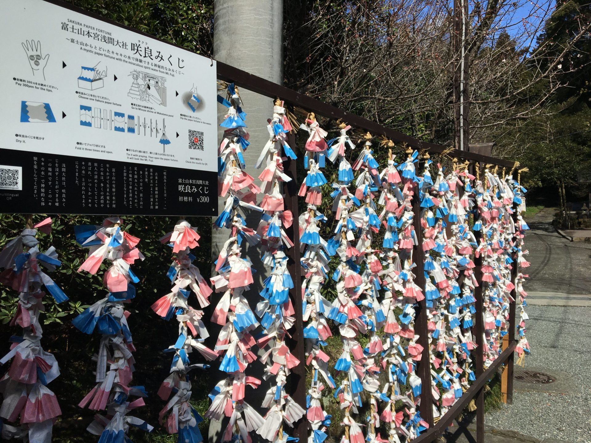 親子連れや観光にも◎。富士宮の魅力を体験！富士山本宮浅間大社の咲良